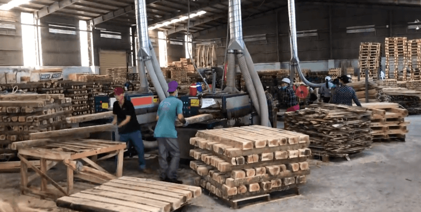 原木多片鋸生產線，越南????客戶使用現