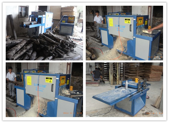 安徽蕪湖-原木多片鋸、清邊機工作圖