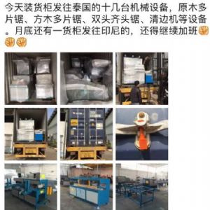 泰國東部加工橡膠木生產設備，圓木多片鋸生產線