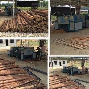 廣西南寧250型原木多片鋸客戶(hù)現(xiàn)場(chǎng)