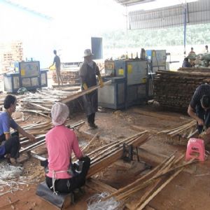 河北省-廊坊-圓木-方木多片鋸-加工現場0