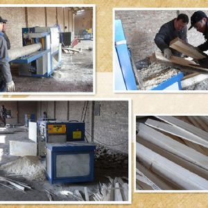 河北省-廊坊-圓木-方木多片鋸-加工現場12