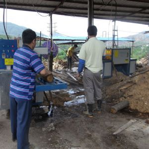 廣東省韶關市馬壩-圓木多片鋸250-加工現場