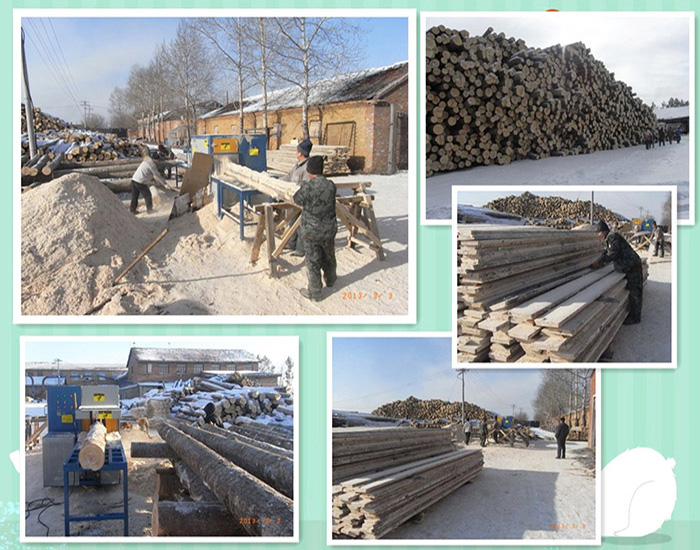 產品名稱：黑龍江伊春新青區-鋸洛葉松-350原木多片鋸-加工現