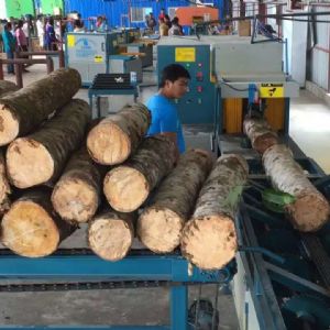 全自動(dòng)多片鋸生產(chǎn)線在斯里蘭卡客戶現(xiàn)場(chǎng)1